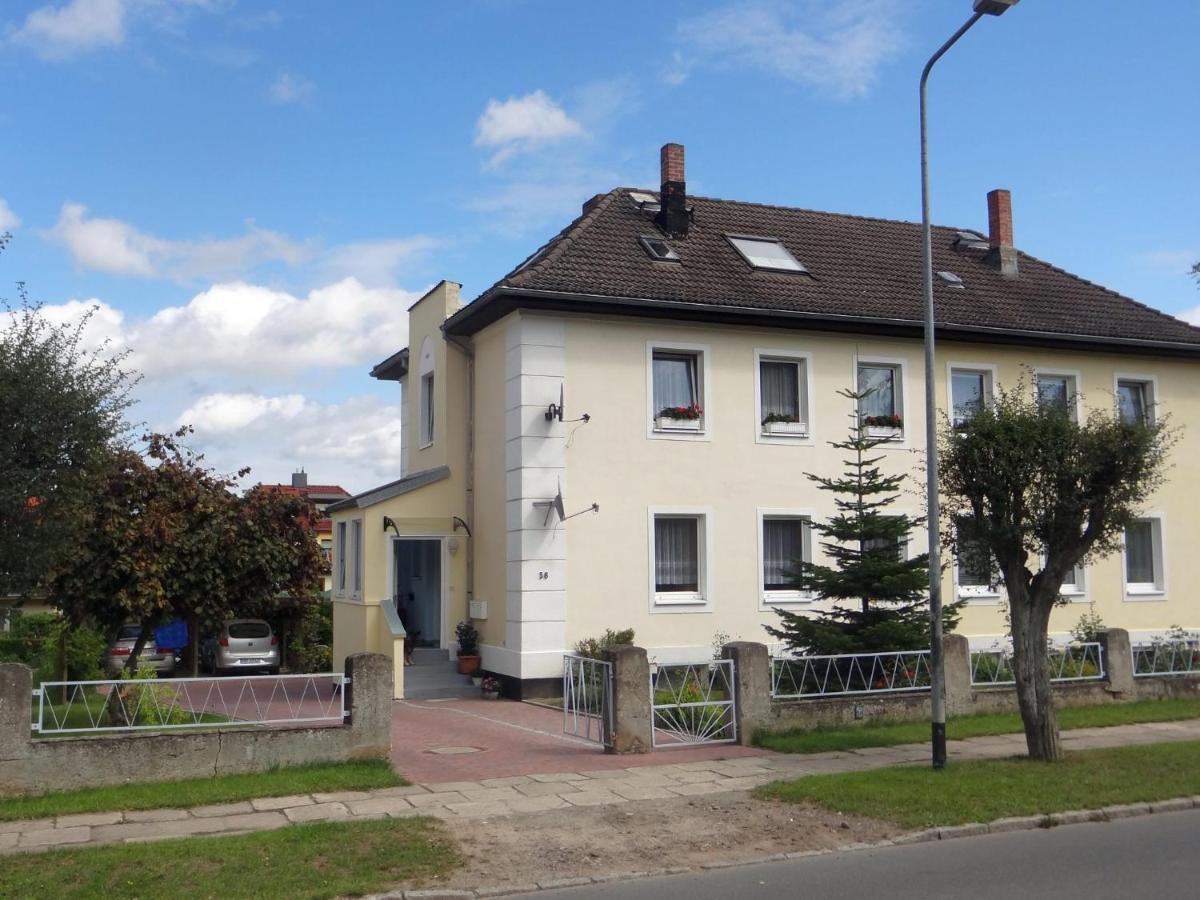 Welcoming Apartment With Garden, Terrace, Barbecue Bad Doberan Exteriér fotografie